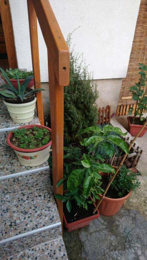 Holiday At The Bascarsija Saraievo Exterior foto